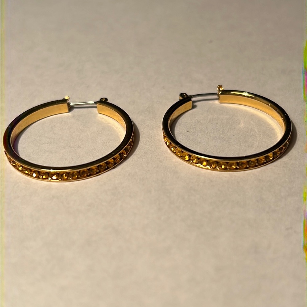 Hoop Earrings